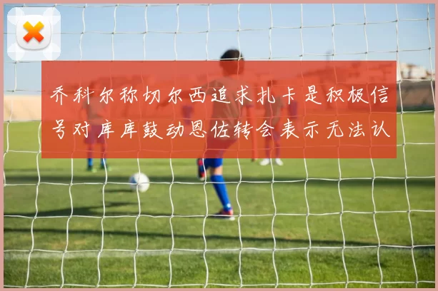 乔科尔称切尔西追求扎卡是积极信号对库库鼓动恩佐转会表示无法认同
