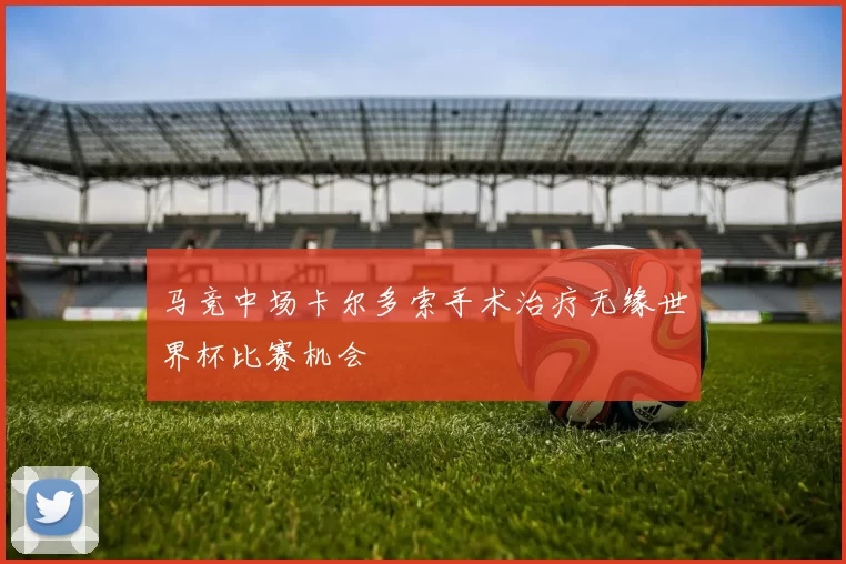 马竞中场卡尔多索手术治疗无缘世界杯比赛机会